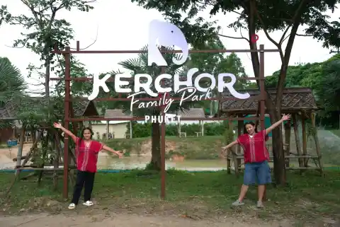 Kerchor​ Elephant​ Family​ Phuket (Kathu)