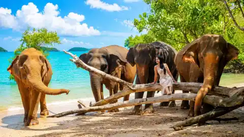 Siray Elephant Care Camp (Siray)