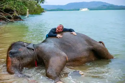 Feed and Bathe at the Beach