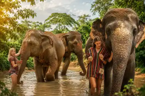 Elephant Jungle Sanctuary Phuket (Kathu)