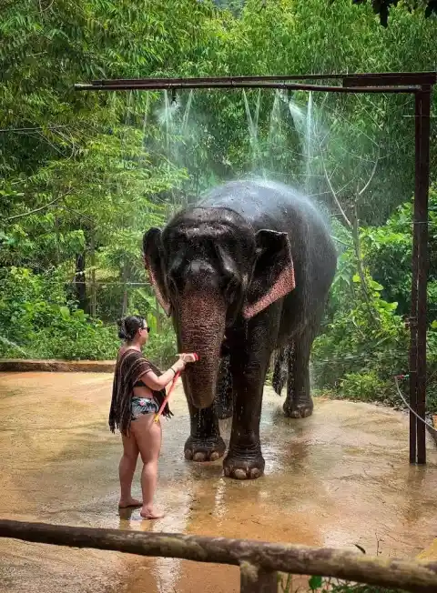 Feed and Spa