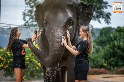 Feed &amp; Shower Experience
