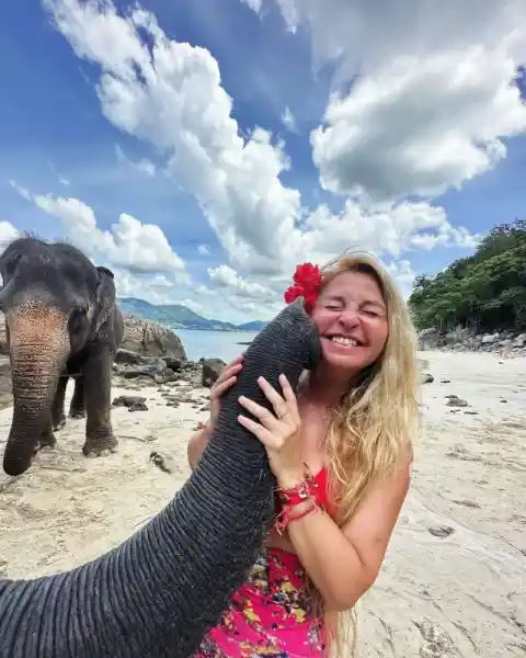Take Photo Elephant on the Beach 
