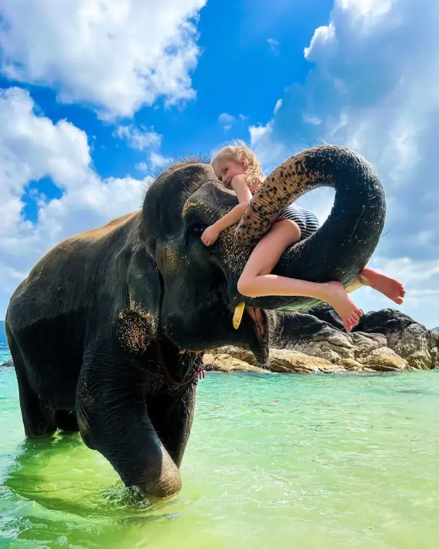 Phuket Elephant on the Beach (Patong)