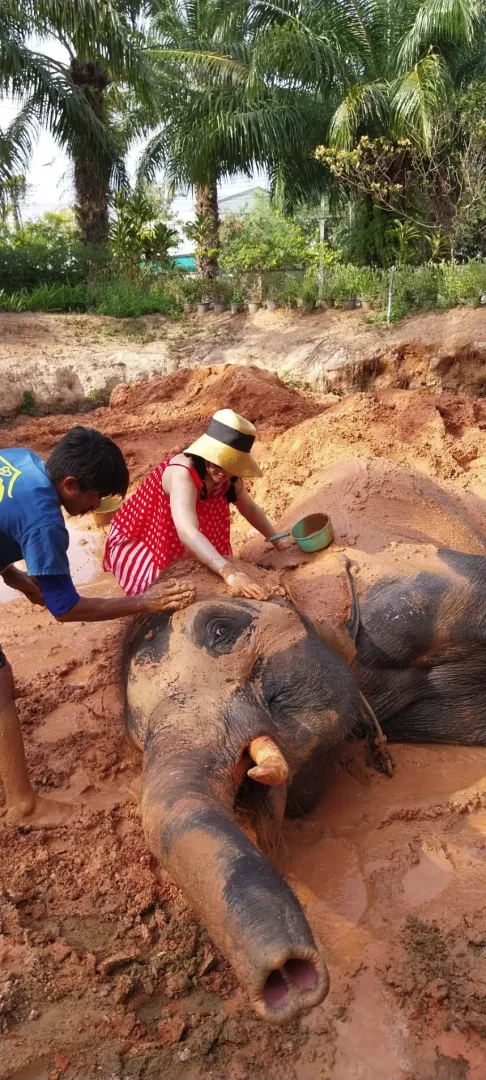 Program A – Mud Spa Experience (2 Hours) — photo 4