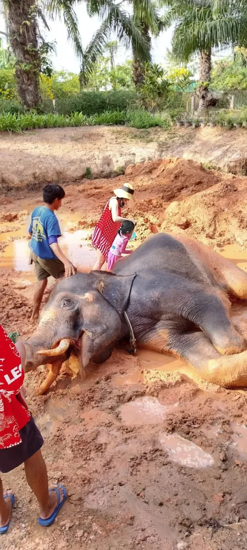 Program A – Mud Spa Experience (2 Hours) — photo 5