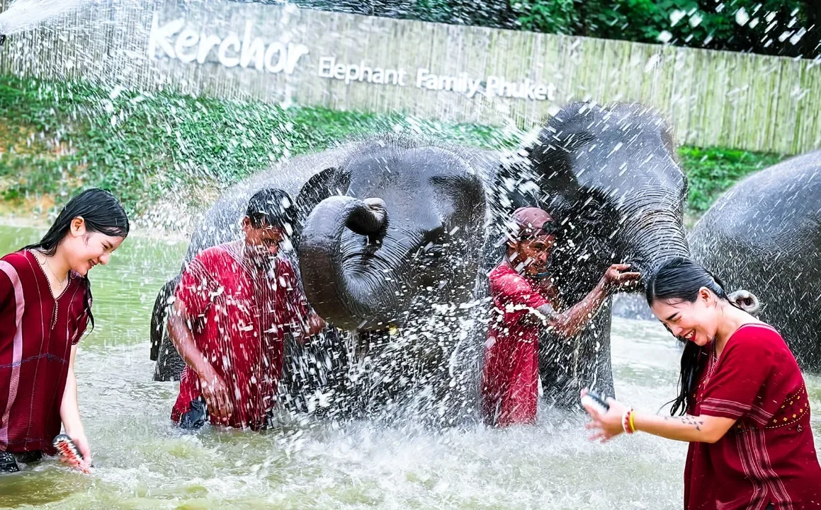 Elephant Care 2.5 Hrs. — photo 2