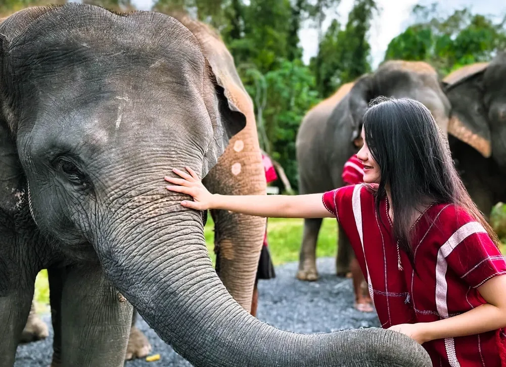 Elephant Care 2.5 Hrs. — photo 3