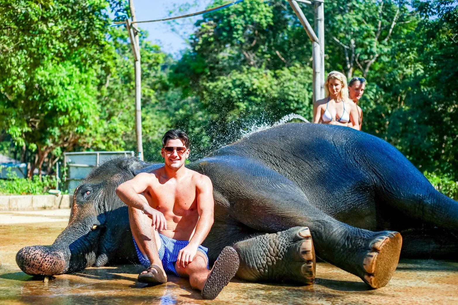 Feed and Rain Shower with Elephants — photo 2