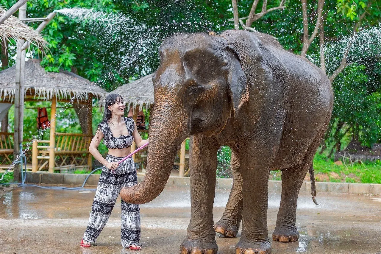 Feed and Rain Shower with Elephants — photo 6