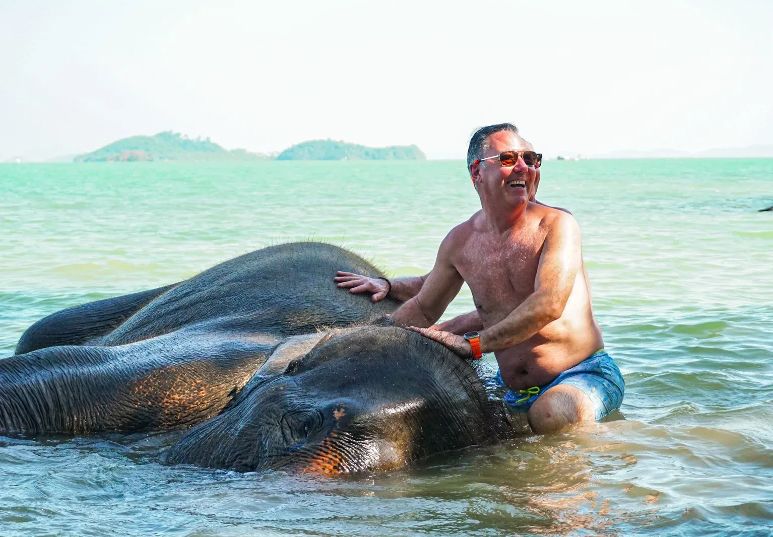 Feed and Bathe at the Beach — photo 4