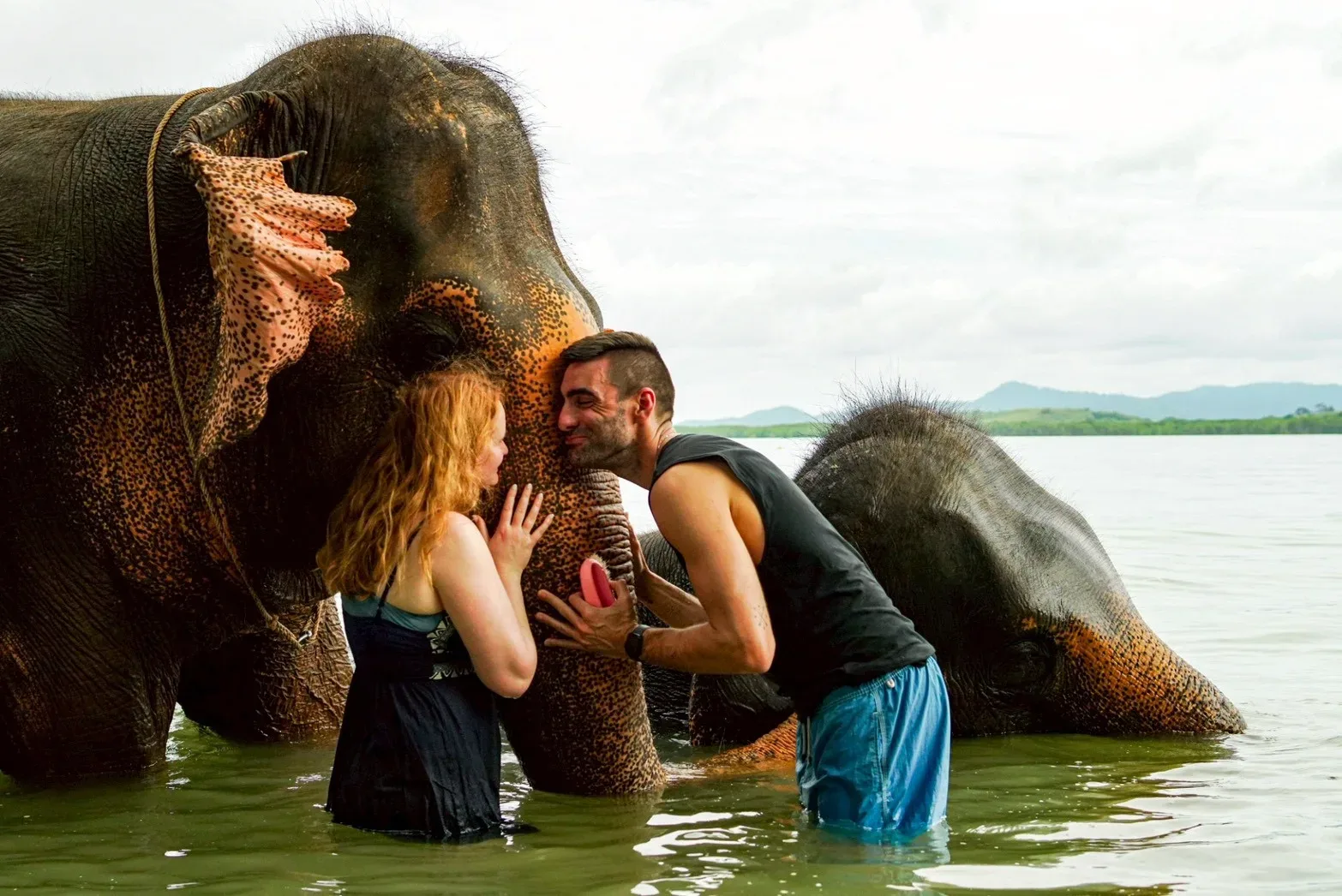 Feed and Bathe at the Beach — photo 6