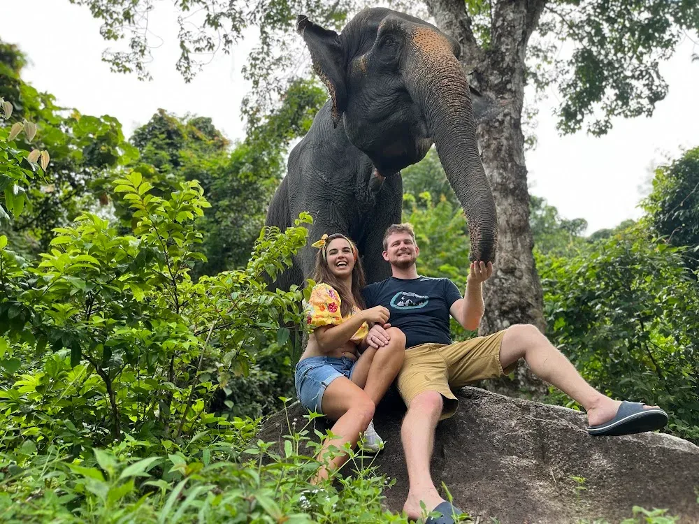 Feed the Elephant — photo 2
