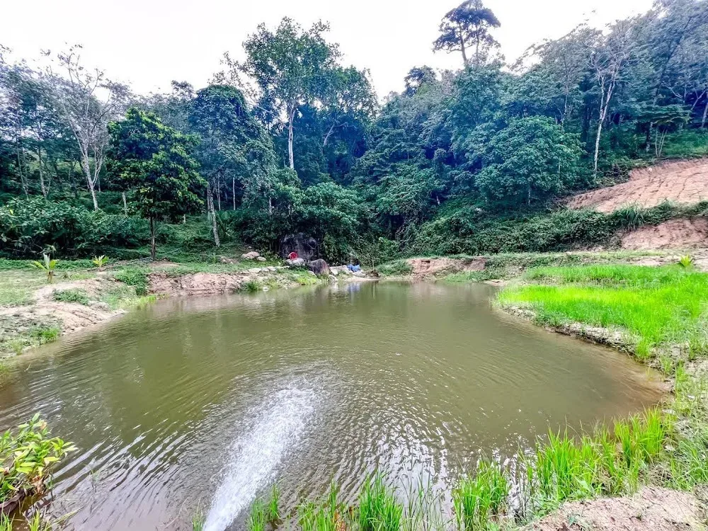 Feed the Elephant — photo 3