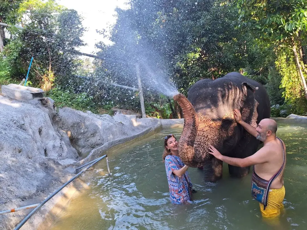 Elephant bathing and care (Seaview On Tour) — photo 2