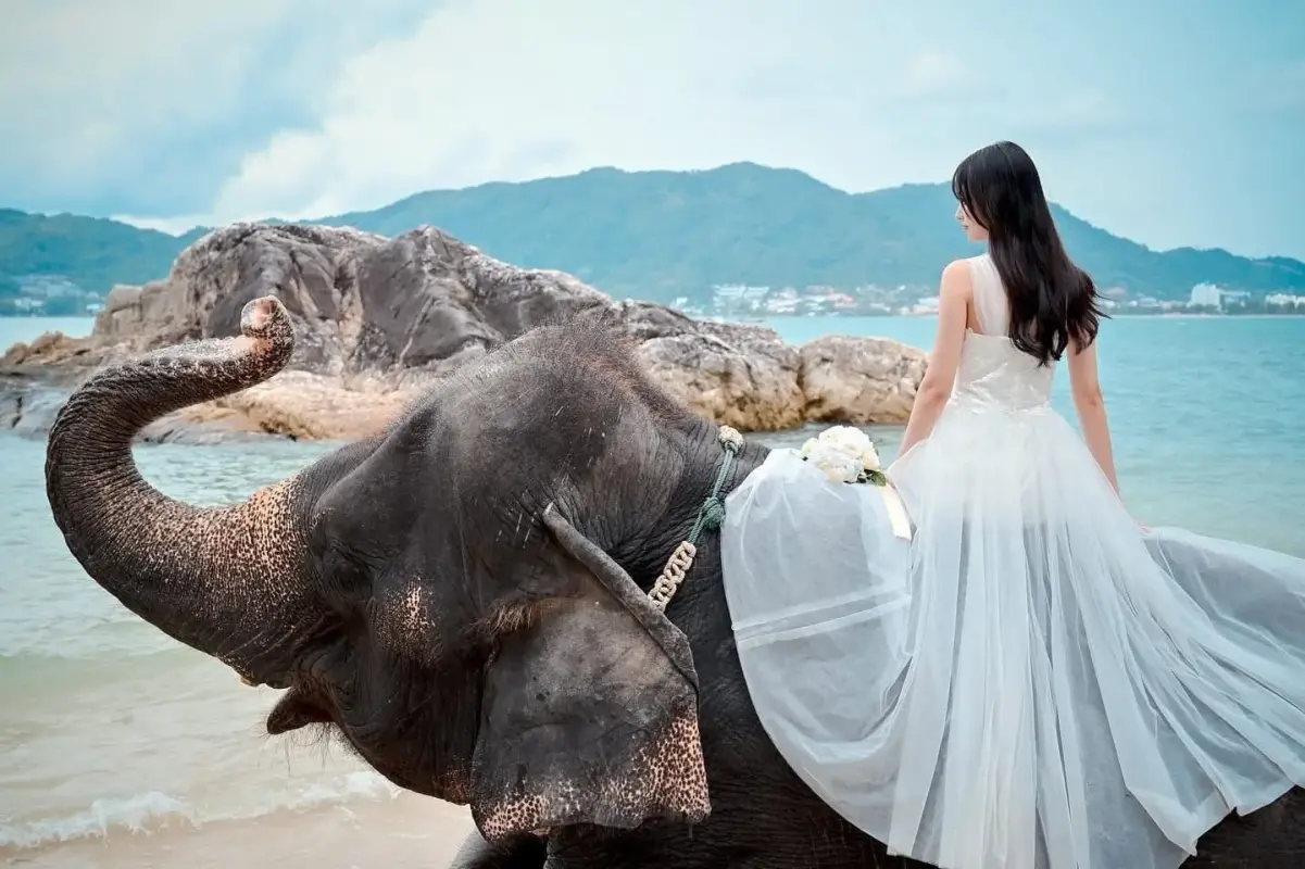 Take Photo Elephant on the Beach  — photo 2
