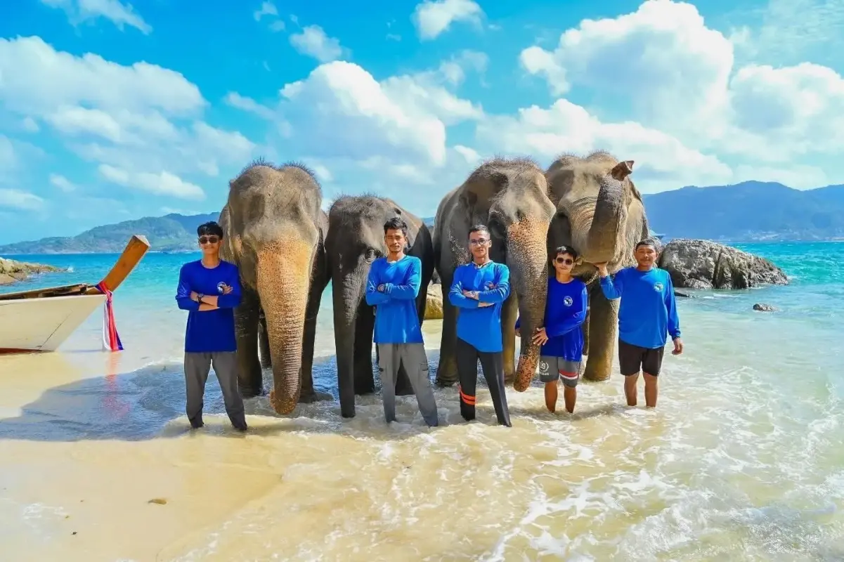 Take Photo Elephant on the Beach  — photo 4