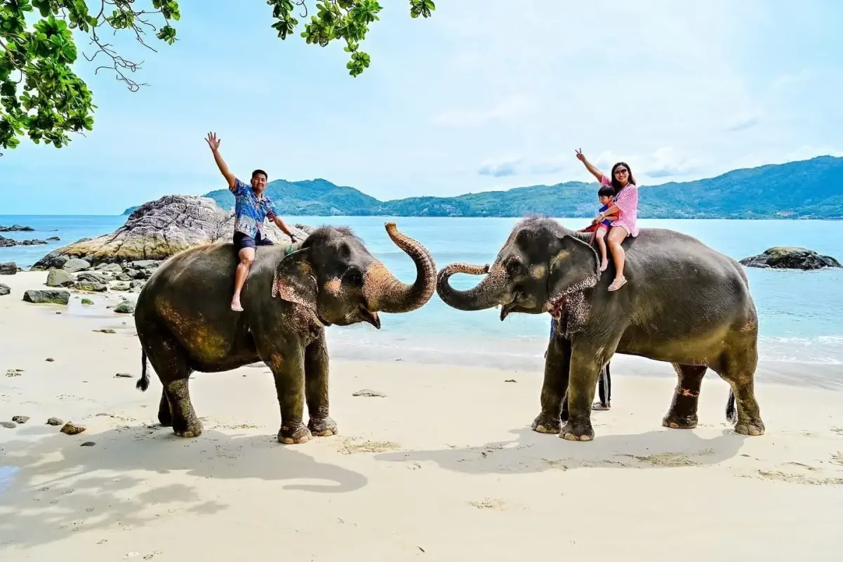 Take Photo Elephant on the Beach  — photo 6