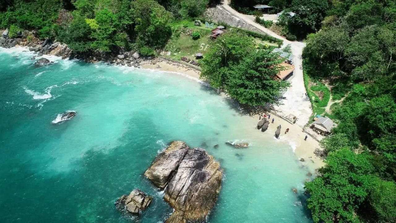 Take Photo Elephant on the Beach  — photo 3