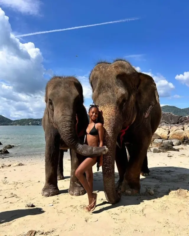 Take Photo Elephant on the Beach  — photo 10