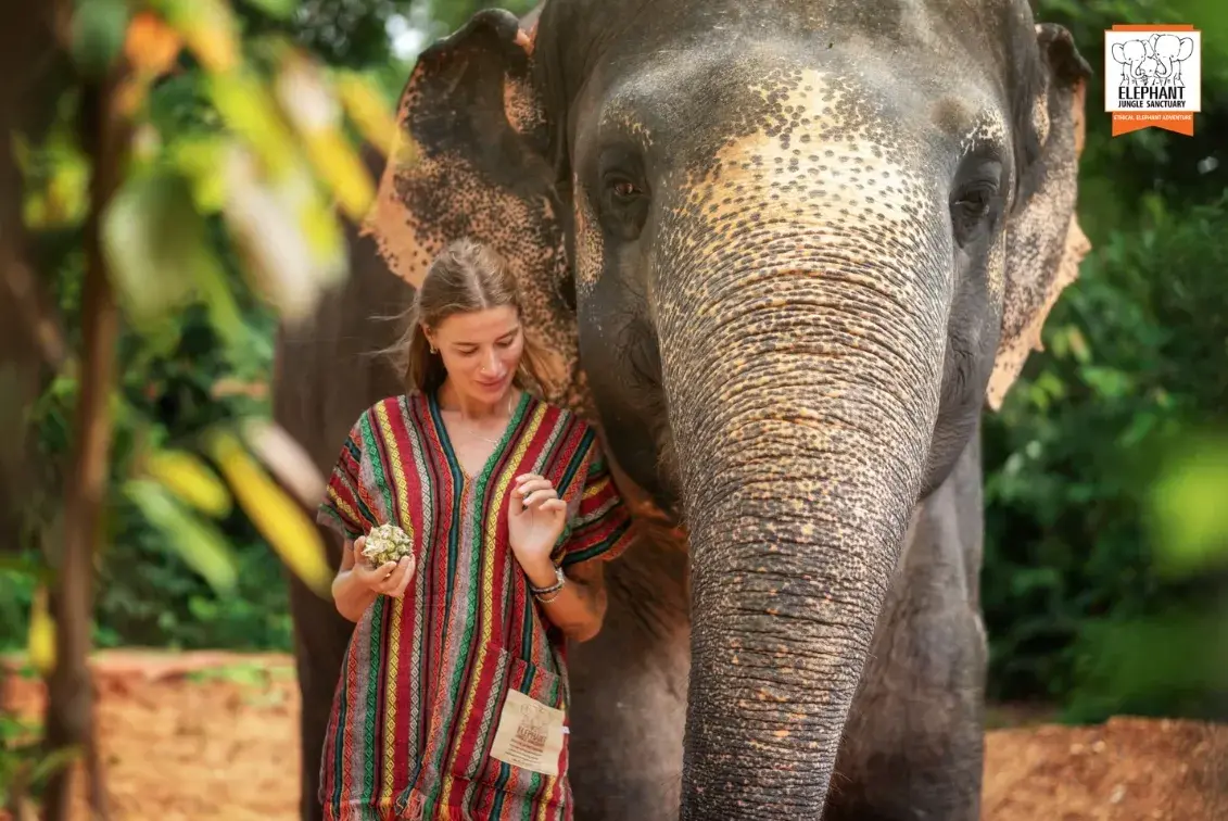 Walk With Elephants Experience — photo 2