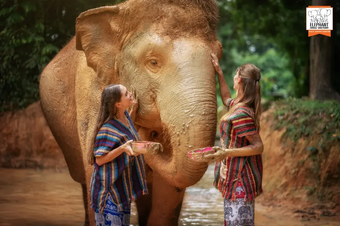 Walk With Elephants Experience — photo 4