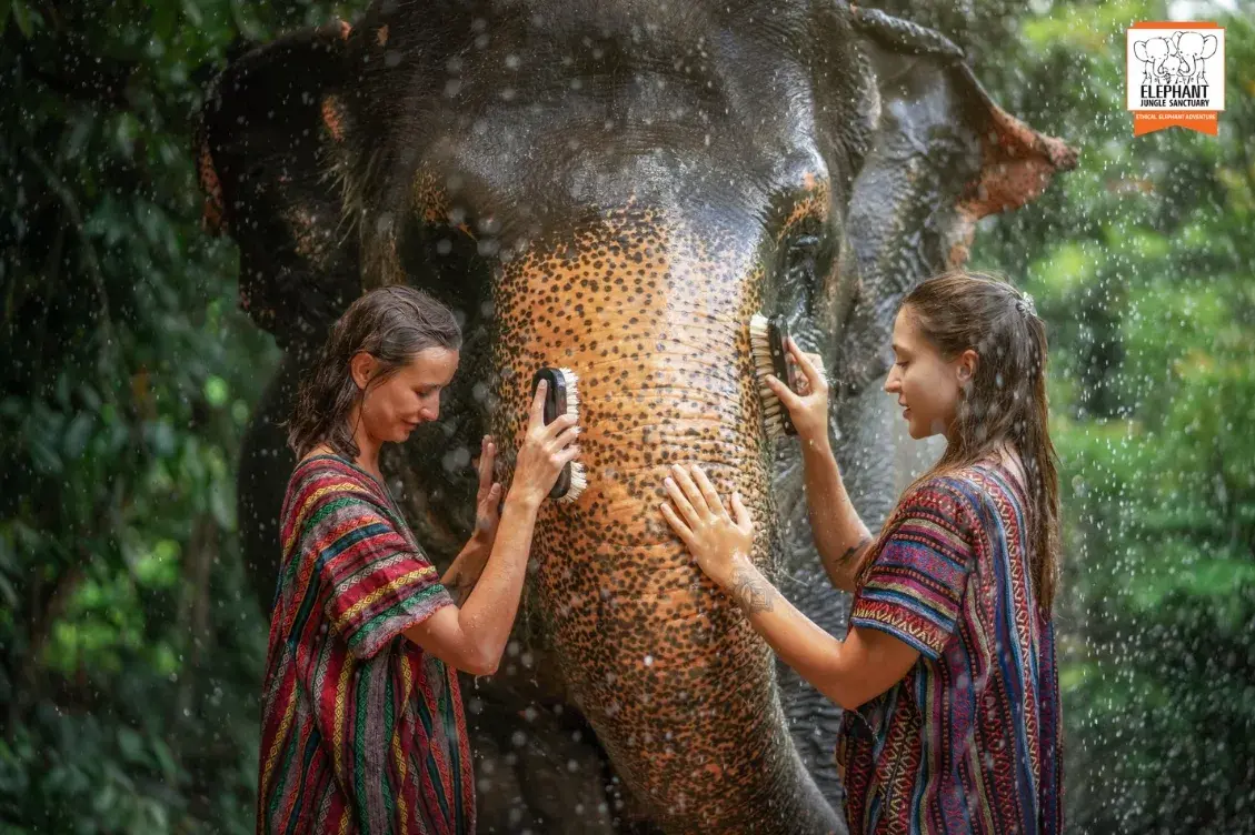 Walk With Elephants Experience — photo 5
