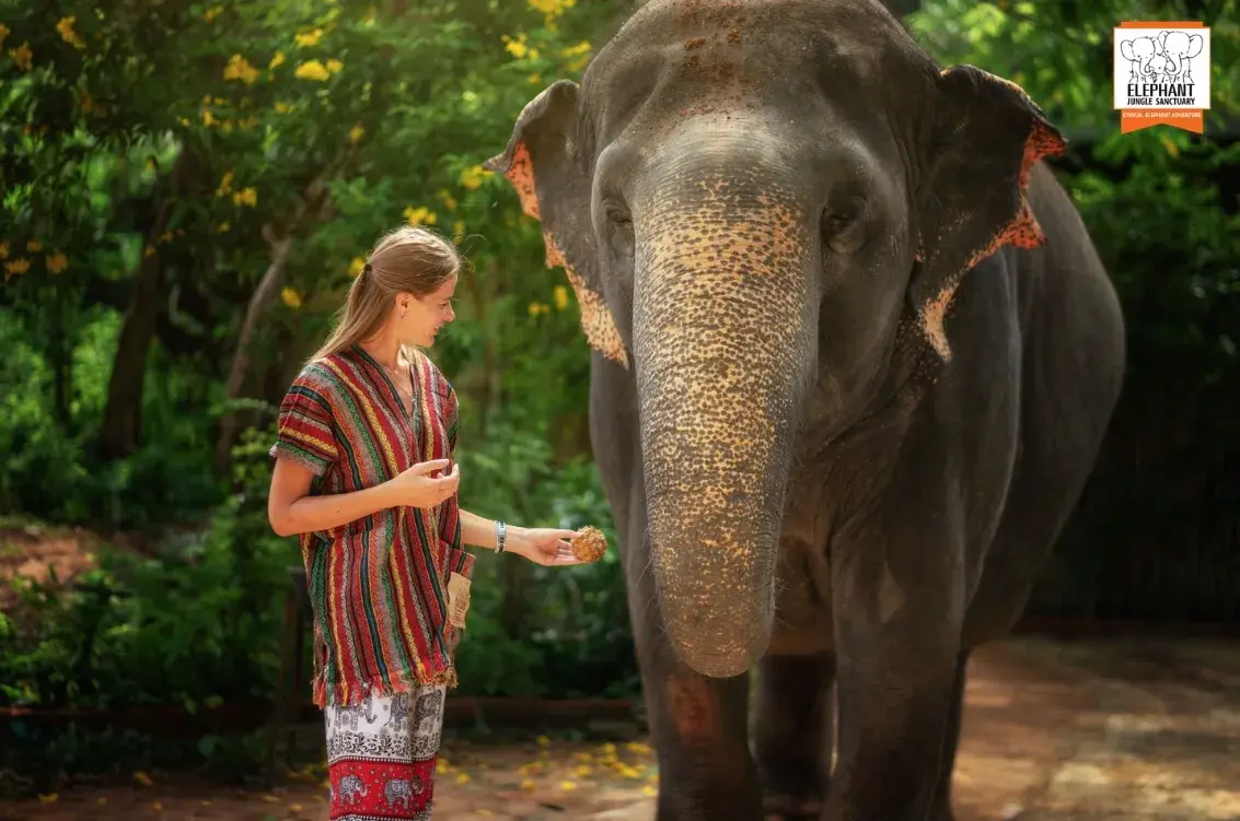 Walk With Elephants Experience — photo 6