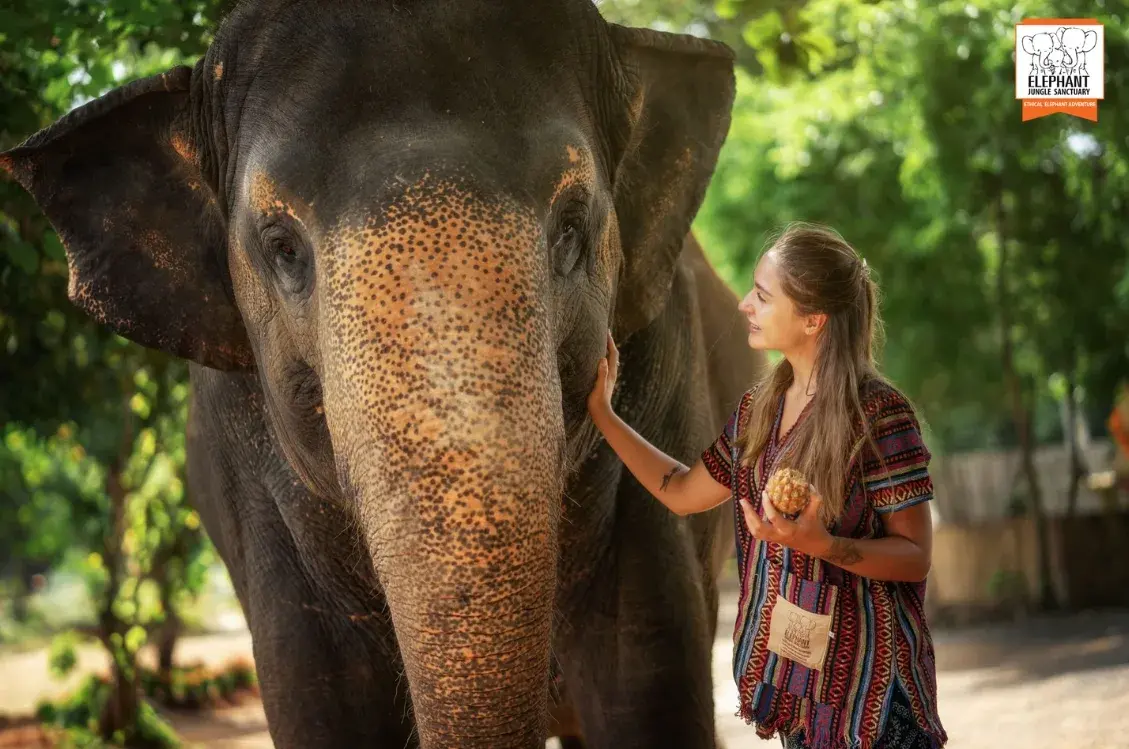 Walk With Elephants Experience — photo 7